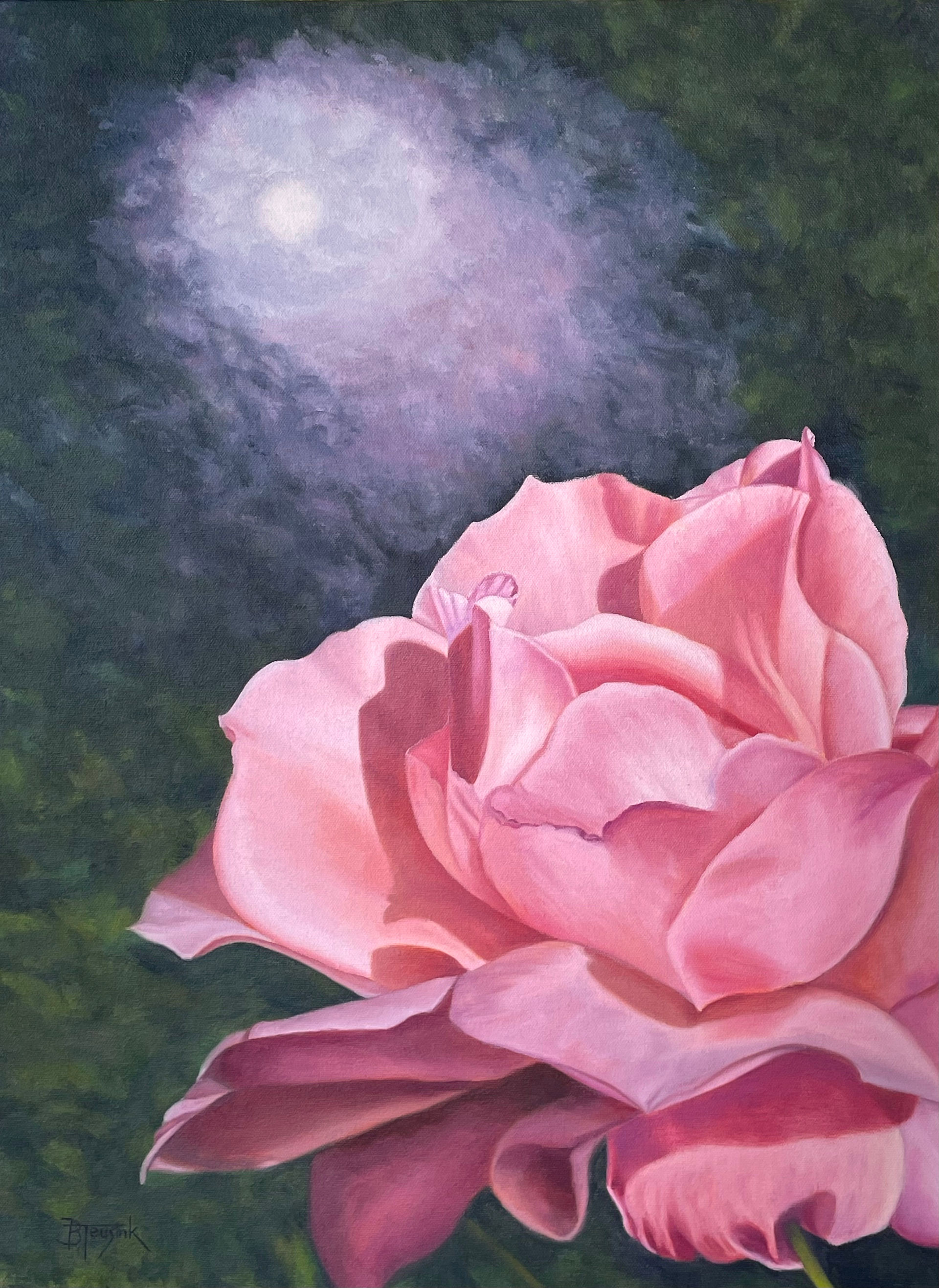 Moonlight Rose