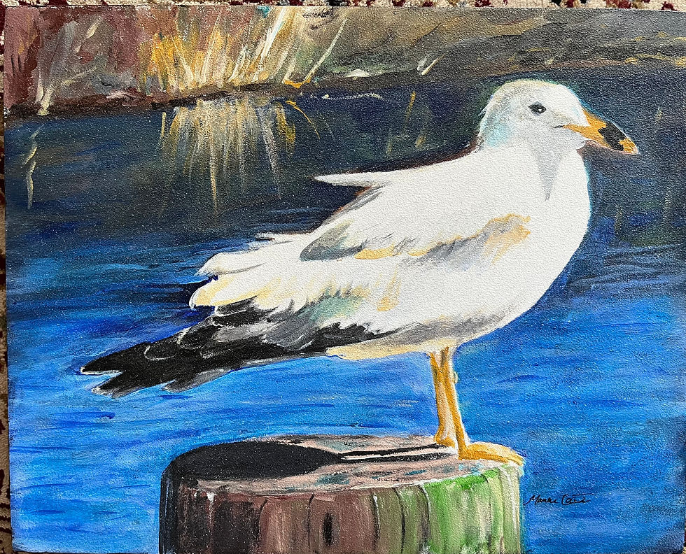Seagull