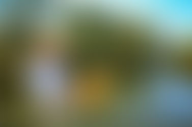 Sept 2018 Presenter: Sheryl Stalnaker