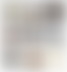 November 2019 Presenter: Sara Schneckloth