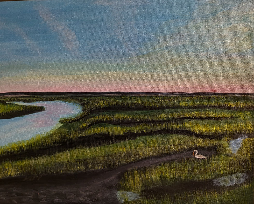 Salt Marsh Sunset