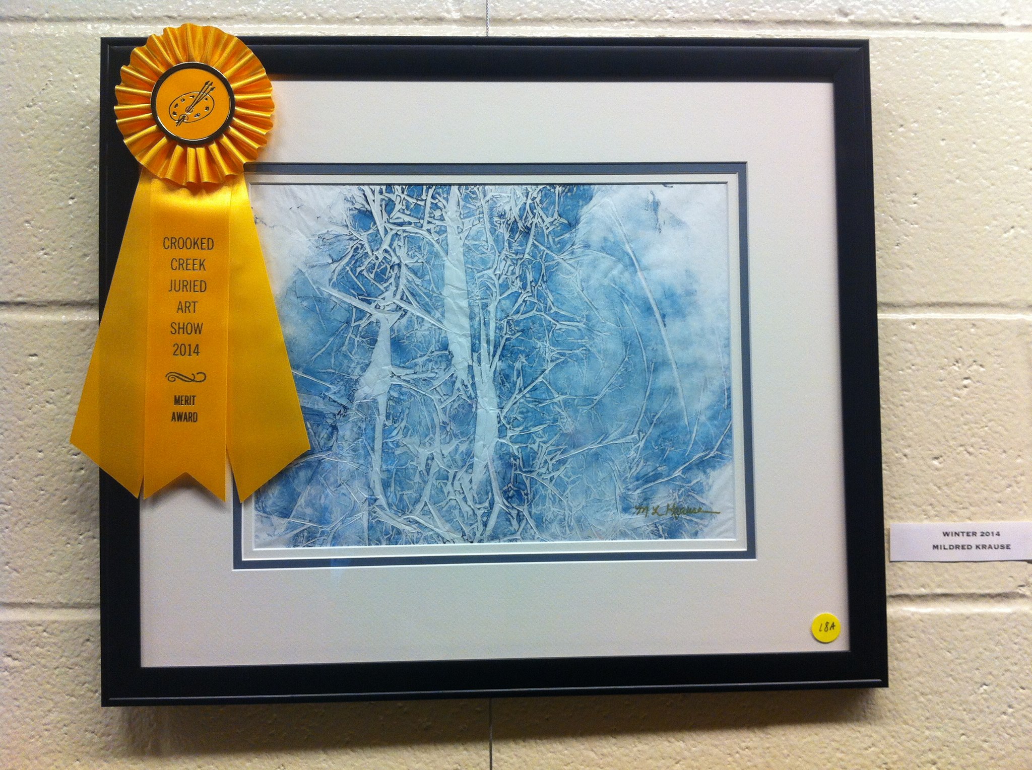2014 Merit Award Winner Amateur