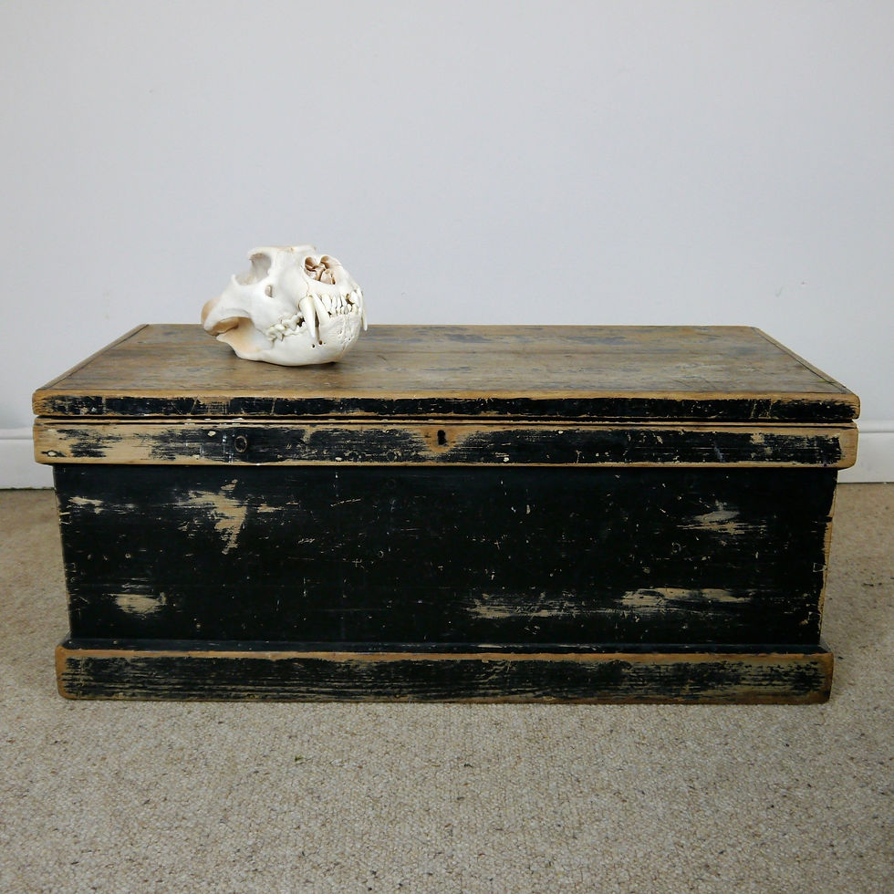 Thumbnail: Distressed Chest 4