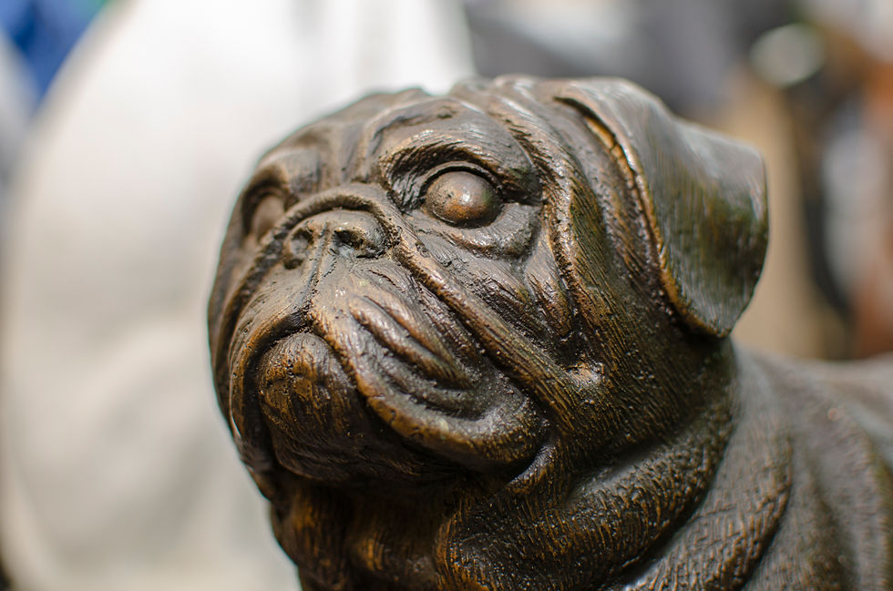 Thumbnail: Spelter Pug 5