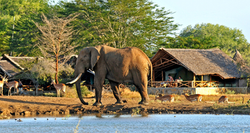 Kenya Retreat - Clare Connolly - 2023