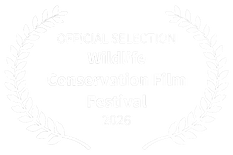 OFFICIAL SELECTION - Wildlife Conservation Film Festival - 2026.png