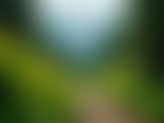 Adventure Travel Planning Simplified