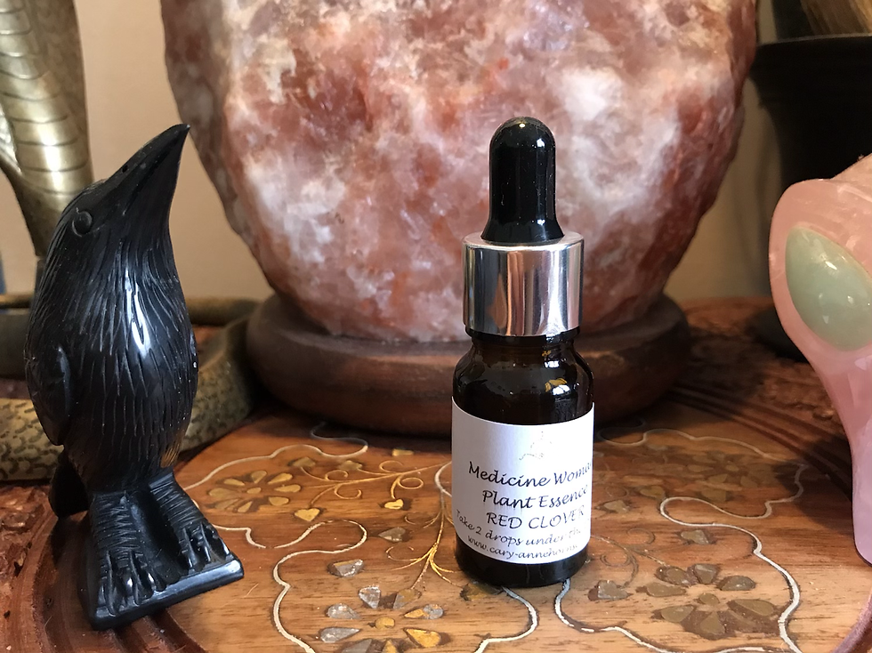 Thumbnail: Plant Essence - Red Clover 