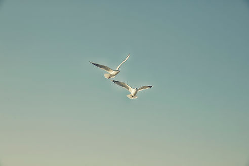 MHD__1119.jpg