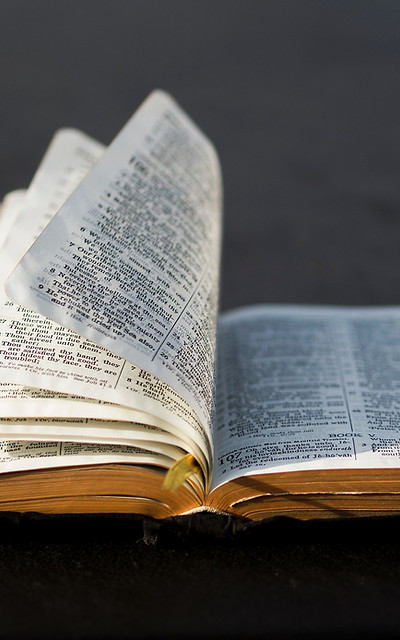 Bible pic.jpg