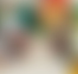 Colônia de Férias em Ação!