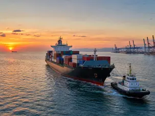 Seafreight Shipping Explained: FCL, LCL, and Transit Basics