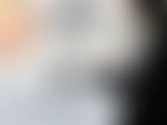 United States Freight Forwarder: How to Verify Compliance