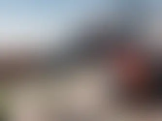 Logistics Transportation Options: Air, Ocean, Rail, and Truck