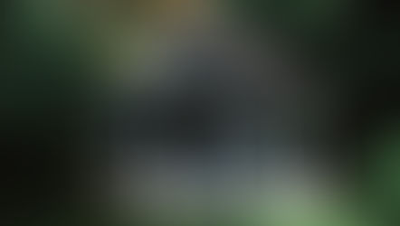 How Long Do Sheds Last - Life Expectancy for Different Types of Sheds