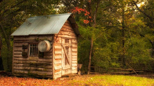 Is It Cheaper to Buy or Build Your Own Shed - All Factors That Determine The Final Costs