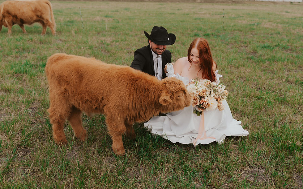 Wedding Connection: Land, Sky, Animals, & Each Other