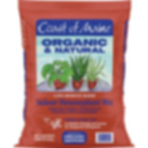 8qt House Plant Mix, Cape Neddick Blend