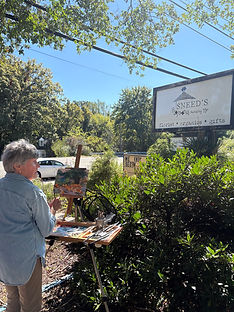 PleinAir in Action 3.jpg