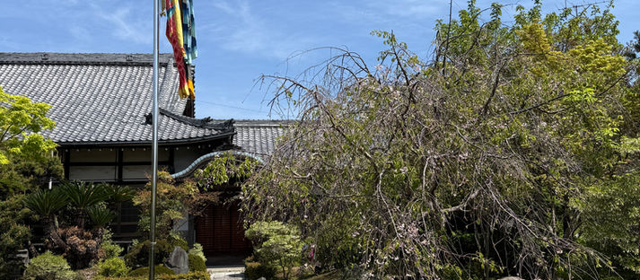 四月十四日 延命寺