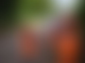 Welcome to Sean Steel