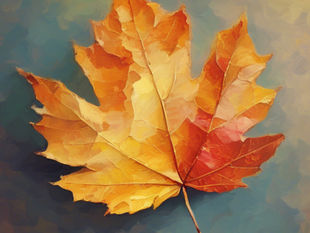 Releasing emotional baggage this Autumn: A season of release to prepare for renewal