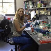 Prof. Ehud Gazit Lab, Tel Aviv University