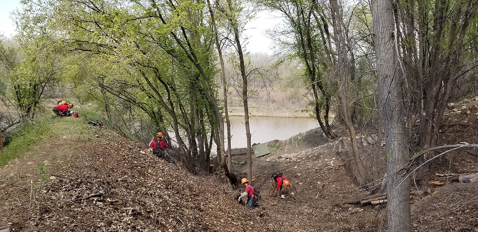 Riverfront Collaborative Mitigation Projects Beginning Spring 2022