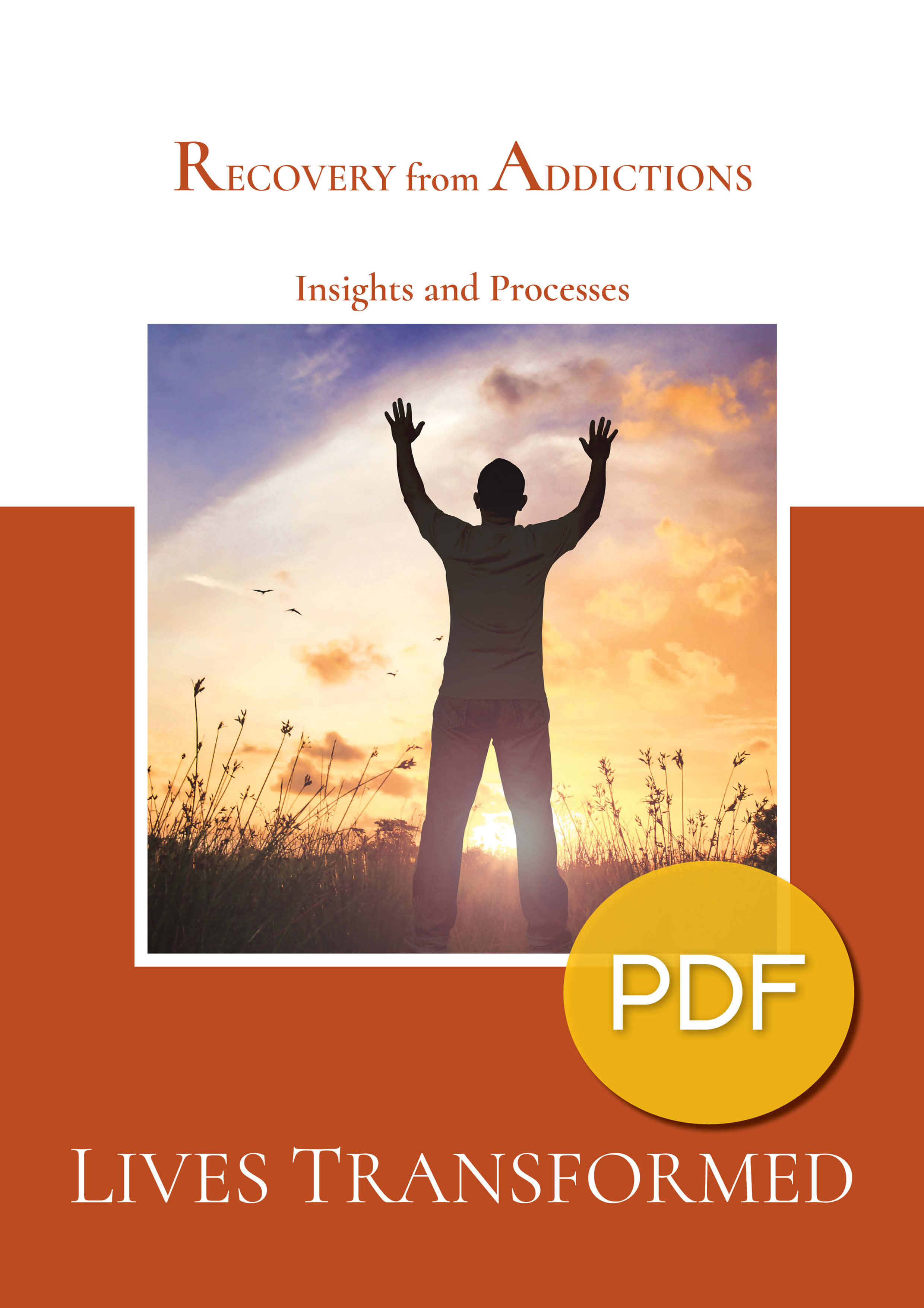 Recovery From Addictions