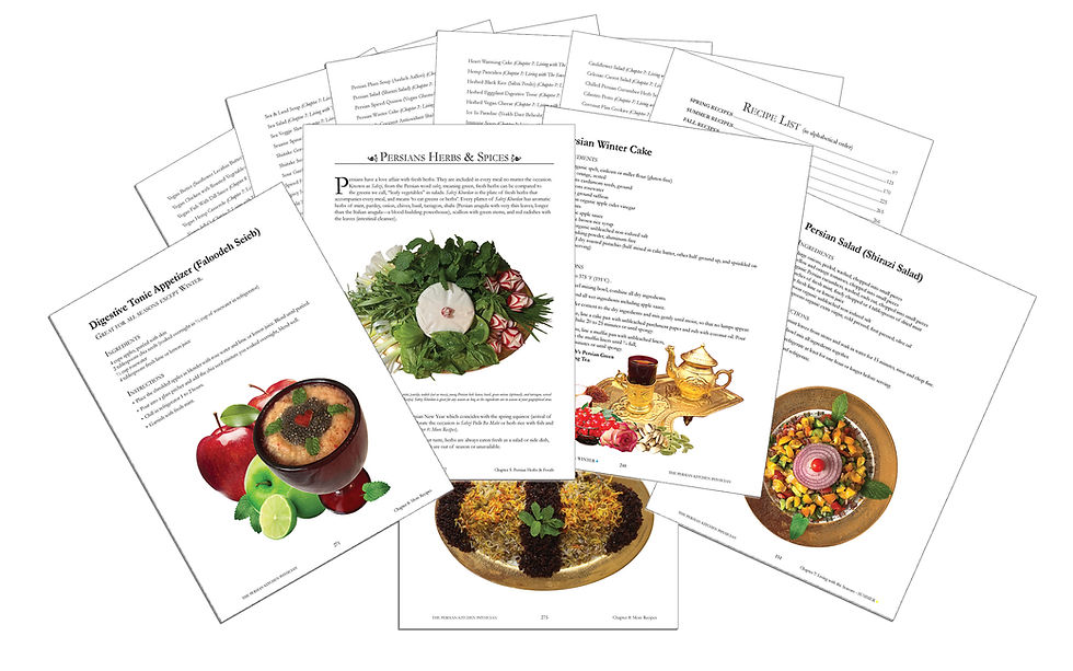 Thumbnail: The Persian Kitchen Physician Cookbook & Recipes
