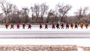 Living a split-screen reality  |  Walking Our purpose