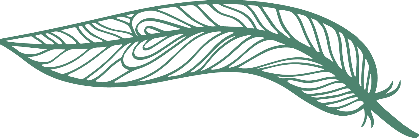 feather2_edited.png