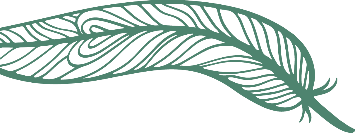 feather2_edited.png