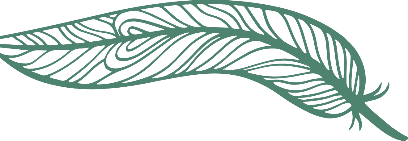 feather2_edited.png