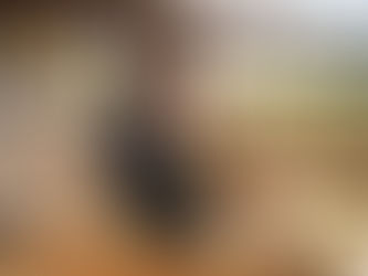 Read Amanda's interview in VoyageRaleigh! 