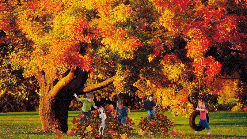 Fall fun