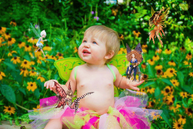 Fairyland