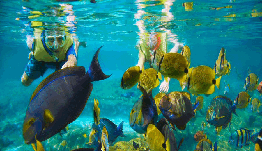 Underwater