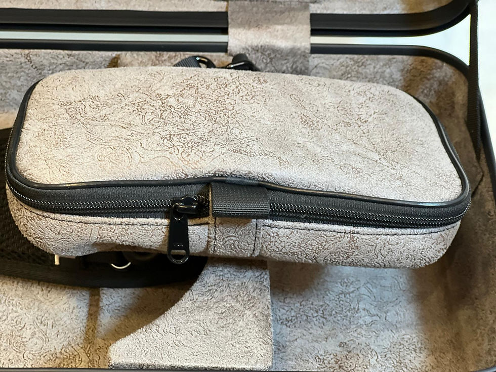 Thumbnail: JML Violin Case