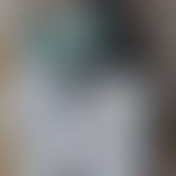 La papessa tra le pagine della Bertuca