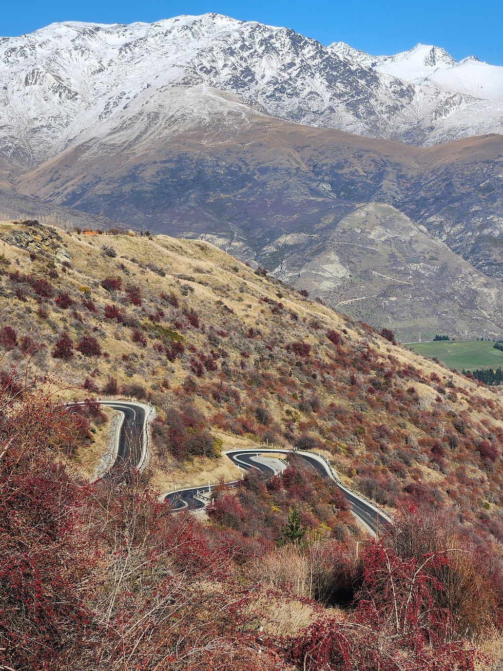 Winding road amid hills with red shrubs, beneath snow-capped mountains and clear blue sky. Serene and scenic landscape driving from Queenstown to The Snow Farm