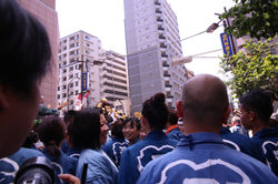 2U8A3550.JPG