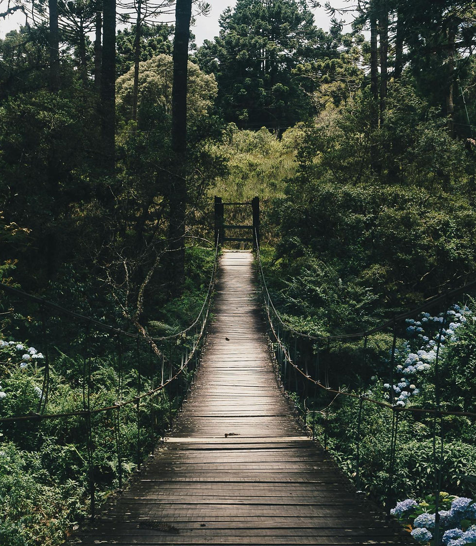 Les étapes de vie nécessitent des temps de transitions