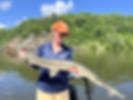 Longnose gar caught on a fly in the Coosa River