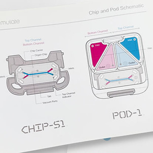 Technical illustrations for biotech startup