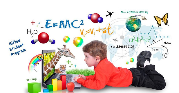 Programs-for-Gifted-and-Talented-Students-1024x547.jpg