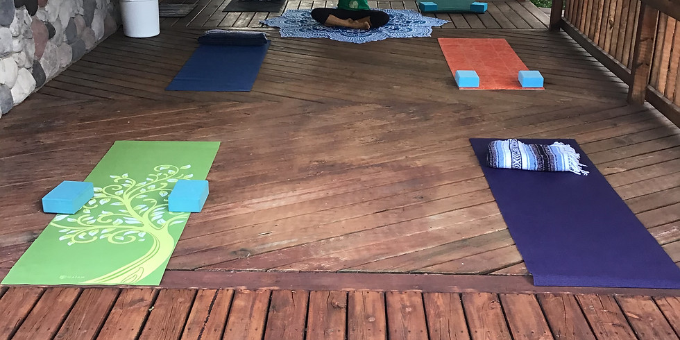 All levels OUTDOOR Saturday Yoga at the home of Theresa Hochstetler