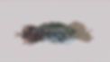 on any surface.jpg