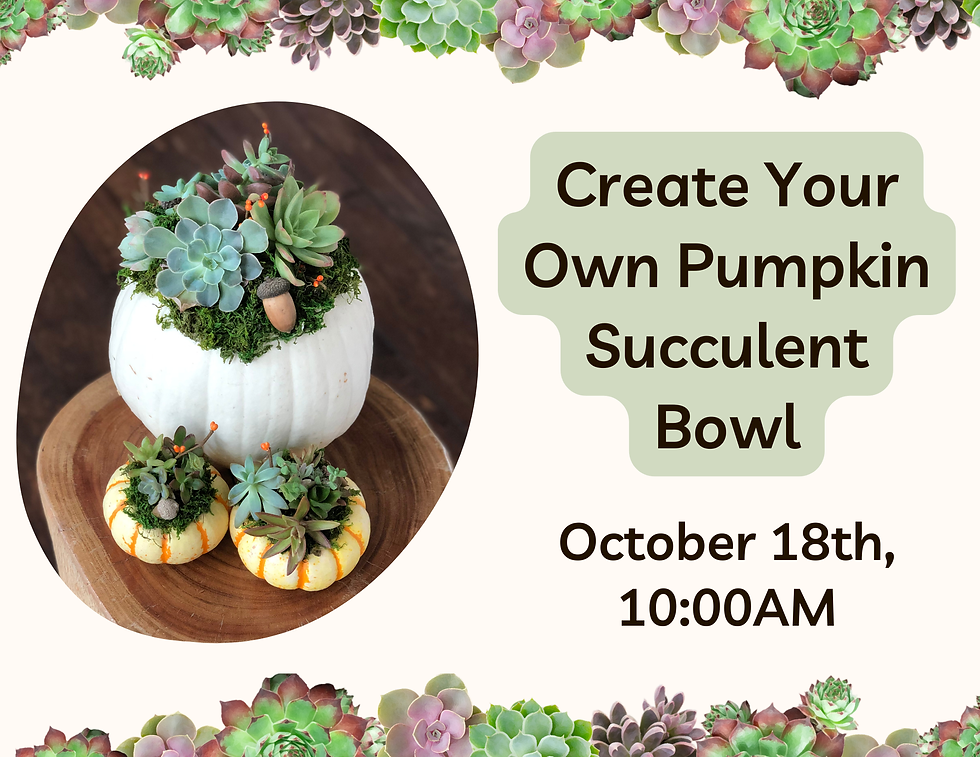 "Pumpkin Succulent Bowl" Workshop