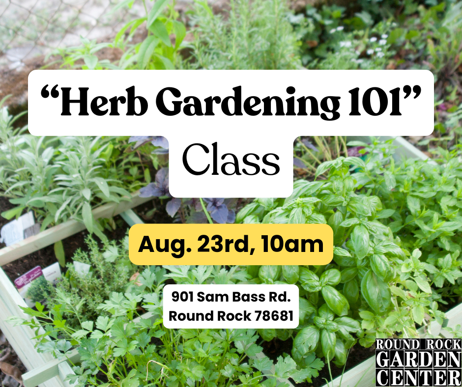 "Herb Gardening 101" Class